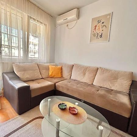 Cozy, Charming One Bedroom Apt Podgoriçe Dış mekan fotoğraf
